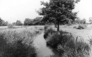 Malschwitz. Niedermühle, Kleine Spree unterhalb der Mühle
