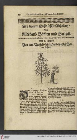Deß zweyten Buchs sechste Abtheilung: Von Allerhand Säfften und Hartzen