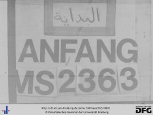 MF Mau 2363
