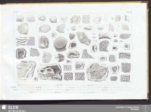 Tab. 31a