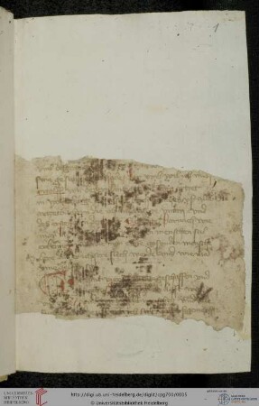 Ortolf von Baierland 'Arzneibuch'