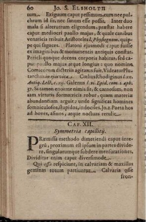 Cap. XII. Symmetria capillitii