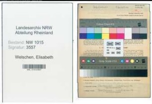 Entnazifizierung Elisabeth Welschen , geb. 08.03.1893 (Lehrerin)