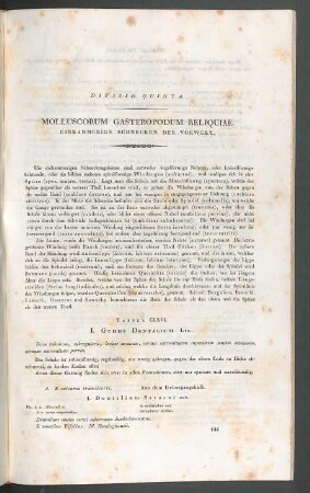 I. Genus Dentalium Lin. - XIX. Genus Nerinea Defr.