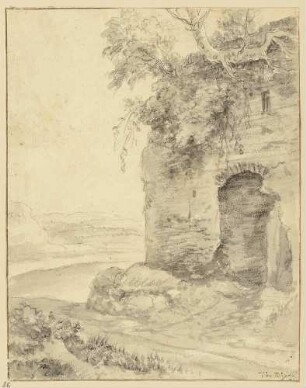 Bewachsene Mauer mit Tür, vorn Weg nach links