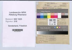 Entnazifizierung Friedrich Sonderland , geb. 08.03.1892 (Buchdrucker)