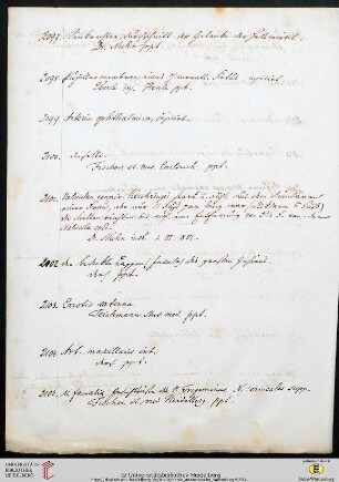 Präparate Nr. 2101-2126