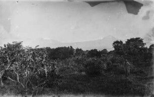 Landschaft und Kilimandscharo : Der Kilimandscharo mit Kibo (links) und Mawenzi (rechts). Im Vordergrund die Landschaft des Kilimandscharo-Gebietes und ein Mann