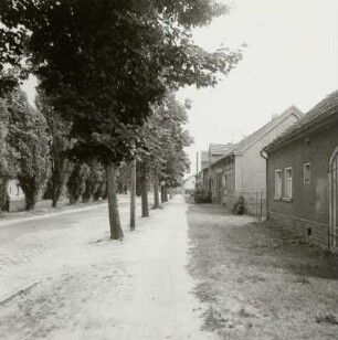 Foto, Cottbus-Schmellwitz