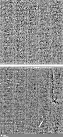 Löwe (steigend) mit Schwert / ES = Bd.1, S.71/72+91/92
