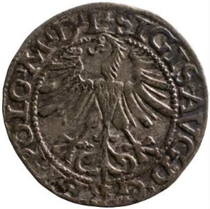 Münze, Kwartnik, 1565