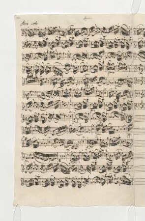 [Violino(!) solo]
