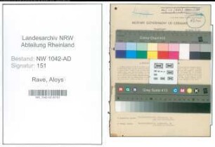 Entnazifizierung Aloys Rave , geb. 21.06.1911 (Kaufmaennischer Angestellter)