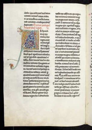 Zierinitiale (Judith): A(rfaxath)