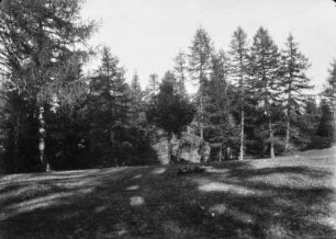 Im Wald : Blick auf einen Findling im Wald