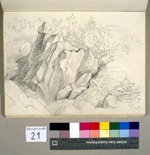 Felsbildung im Riesengebirge