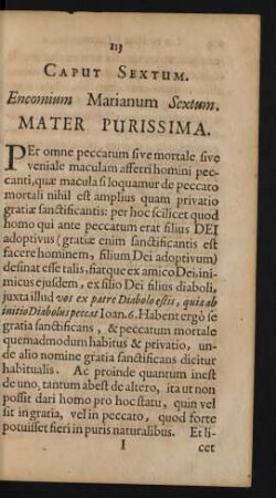 Caput Sextum. Encomium Marianum Sextum. Mater Purissima.