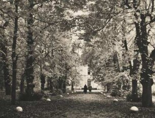 Herbst im Park. Die Blätter fallen