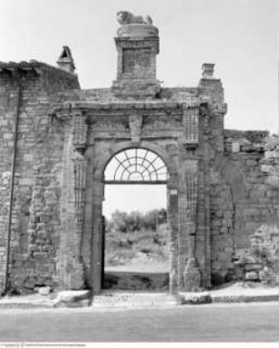 Villa del Leone