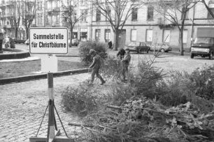 Entsorgung der Christbäume an den öffentlichen Sammelstellen