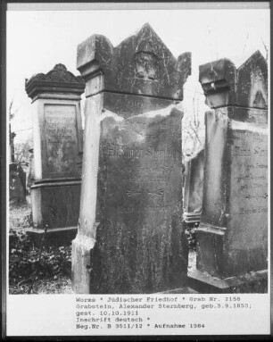 Grabstein von Alexander Sternberg (gestorben 1853.09.03)
