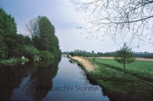 Trave beim Brenner Moor