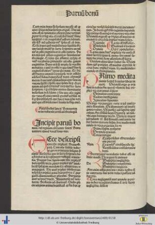 Parvum bonum