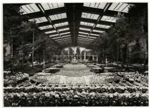 Ausstellungsgarten Deutsche Gartenbau-Ausstellung 1933, Berlin: Innenansicht Ausstellungshalle, Frühlingsgarten, im Hintergrund der Exotische Wassergarten