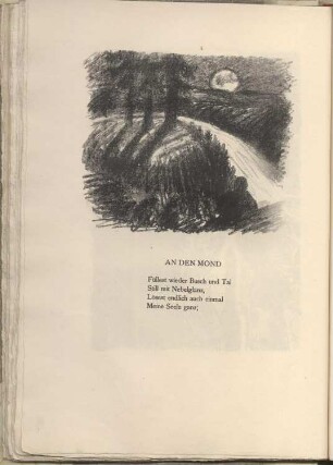 Flußlandschaft im Mondlicht