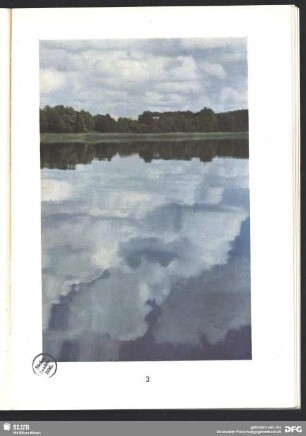 Sommerlandschaft