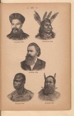 Kaukasische Rasse