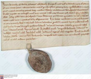 Nidda (Johanniter): Ritter Wigand, gen. v. Selbach und seine Hausfrau Hedwig schenken dem Johanniterspital in Nidda 1 Mansus daselbst, von dem sie...
