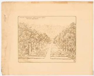 Westfriedhof, Köln (auch gen. Neuer Friedhof der Stadt Köln): Reihengräber: Perspektivische Ansicht