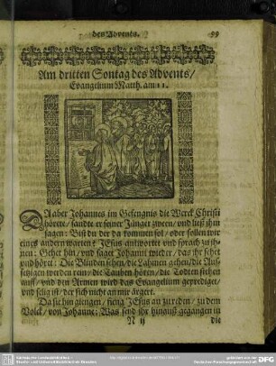 Am dritten Sontag des Advents, Evangelium Matth. am 11.