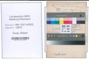 Entnazifizierung Robert Gross , geb. 01.12.1914 ()