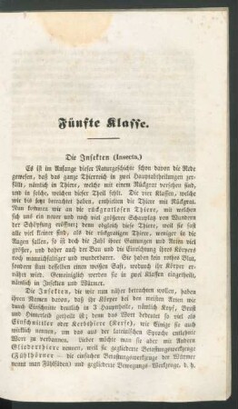 Fünfte Klasse. Die Insekten (Insecta.)