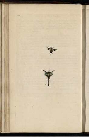 Pl. 131 [bis] Pl. 140 [Pl. siehe arbabische Paginierung]