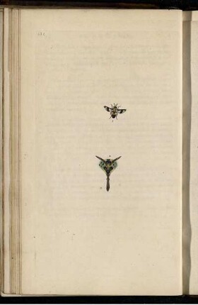 Pl. 131 [bis] Pl. 140 [Pl. siehe arbabische Paginierung]