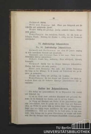 VI. Ambrafarbige Johannisbeere. No. 36. Ambrafarbige Johannisbeere.