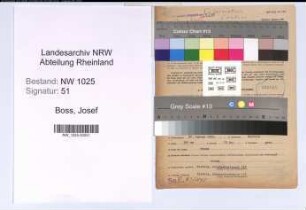 Entnazifizierung Josef Boss , geb. 27.01.1895 (Druckereibesitzer)
