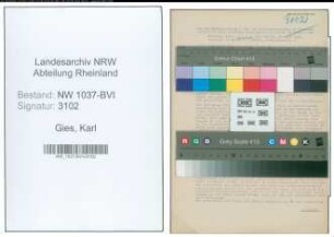 Entnazifizierung Karl Gies , geb. 26.02.1891 (Revisor)