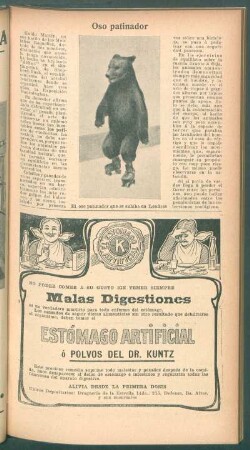 Oso patinador
