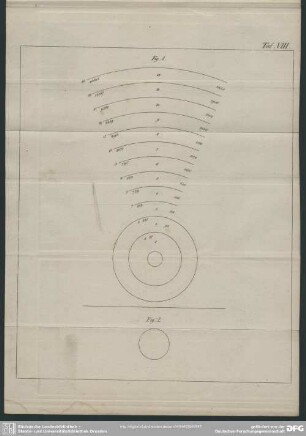 Taf. VIII, Fig. 1-2