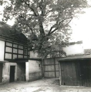 Dresden-Cossebaude, Brauergasse 1. Zweiseithof (1801/1850). Hofansicht gegen Linde und Torbogen zwischen SAeitengebäude und Schuppen