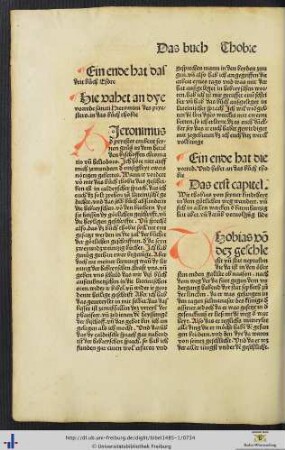 Dye vorrede sancti Hieronimi des pryesters in das buoch thobie