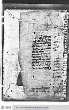 [Urkundenabschriften des 13. Jh.]