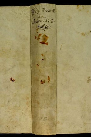 Ratsprotokolle, 1751 Juli 23. - 1752 Juli 20.