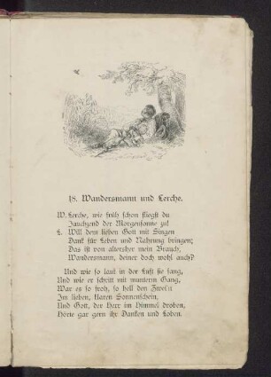 18. Wandersmann und Lerche.