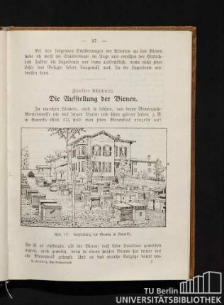 Fünfter Abschnitt. Die Ausstellung der Bienen.