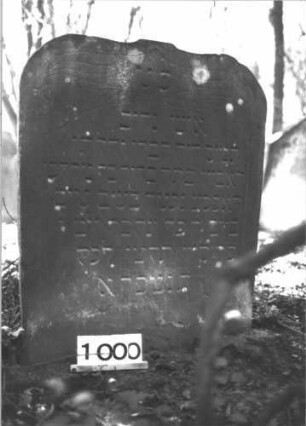 Grabstein 1000 (Index: 99899567) Material: Sandstein Zustand: unten verwittert, sonst gut erhalten Maße HxBxT: 108x86x10 cm Beschreibung: Stele mit Schulterbogenabschluss, im Bogenfeld Ranken und Voluten Symbolik: Ranken, Voluten Besonderheit: kulturhistorisch wertvoll / hist.-wiss. Gründe (Gemeindestellung): Grabstein 1000